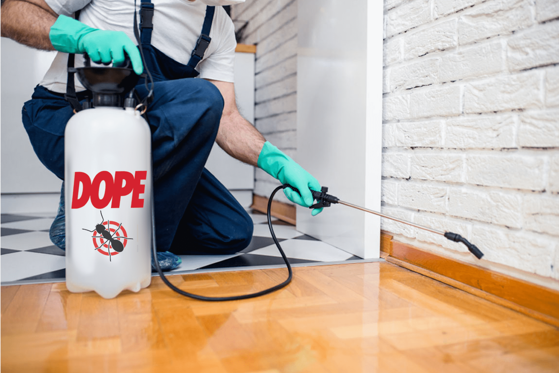 pest-control-min